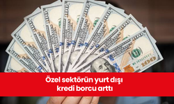 Özel sektörün yurt dışı kredi borcu arttı