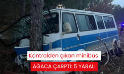 Kontrolden çıkan minibüs ağaca çarptı: 5 yaralı