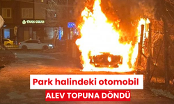 Park halindeki otomobil alev topuna döndü