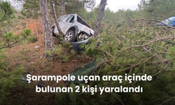 Şarampole uçan araç içinde bulunan 2 kişi yaralandı