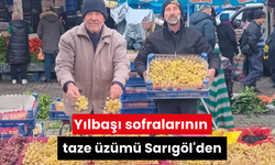 Yılbaşı sofralarının taze üzümü Sarıgöl'den