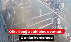 Öfkeli boğa sahibine acımadı: O anlar kamerada