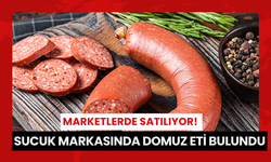 Marketlerde satılıyor! Sucuk markasında domuz eti bulundu