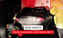 Genç sürücü trafik kazasında hayatını kaybetti