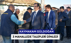 Salihli Kaymakamı Güldoğan: Kemerdamları, Süleymaniye ve Eldelek mahallelerini ziyaret etti