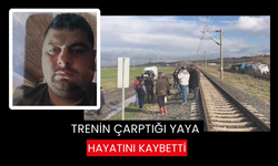 Trenin çarptığı yaya hayatını kaybetti