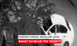 Elindeki cisimle araçları çizdi, rahat tavırları 'pes' dedirtti