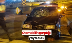 Otomobilin çarptığı yaya öldü