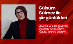 Yeni Bir Yıla Başlarken İçimden Geldiğince, Dilimin Döndüğünce…