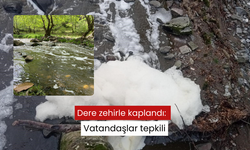 Dere zehirle kaplandı: Vatandaşlar tepkili