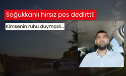 Soğukkanlı hırsız pes dedirtti! Piknikte 4 aracı böyle soydu