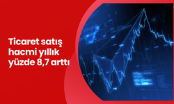 Ticaret satış hacmi yıllık yüzde 8,7 arttı