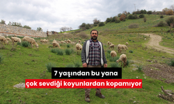 7 yaşından bu yana çok sevdiği koyunlardan kopamıyor