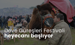 Festival heyecanı bugün başlıyor... Türkiye'nin tek uluslararası deve güreşi Selçuk'ta