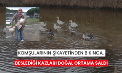 Komşularının şikayetinden bıkınca, beslediği kazları doğal ortama saldı