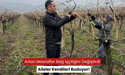 Maliyetler yükseldi... Aileler bağ işlerini artık kendileri yapmaya başladı