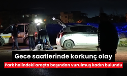 Gece saatlerinde korkunç olay: Park halindeki otomobilde kanlar içinde başından vurulmuş halde bulunan kadın kurtarılamadı