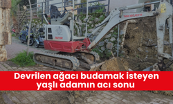 Ağaç budarken fenalaşan 72 yaşındaki adam hastanede hayatını kaybetti