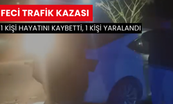 Feci trafik kazası:  1 kişi hayatını kaybetti, 1 kişi yaralandı