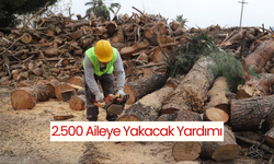 Manisa'da 2.500 aileye yakacak yardımı