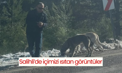 Görüntüler Salihli’den… Kar nedeniyle yiyecek bulamayan hayvanları böyle besledi