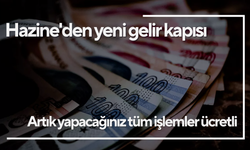 Hazine'den yeni gelir kapısı: T.C Kimlik Numarası sorgulamadan vergi kimlik numarası sorgulamaya kadar ücretlendirme geldi!