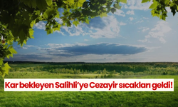 Salihlililer dikkat! Kış ortasında Cezayir sıcakları…