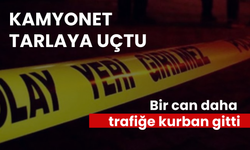 Kamyonet tarlaya uçtu, bir can daha trafiğe kurban gitti