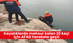 Kayalıklarda mahsur kalan 20 keçi, AFAD'ın çabasıyla kurtarıldı