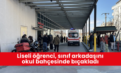 Liseli öğrenci, sınıf arkadaşını okul bahçesinde bıçakladı