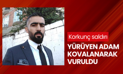 Kaldırımda yürüyen adam saldırıya uğradı: Kanlı infazdan önce yaşanan kovalamaca anları kamerada