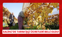 Bağ bağlama, çapa, sebze toplama… Salihli’de tarım işçi ücretleri belli oldu! Zeytin ve meyve budaması kaç lira oldu?