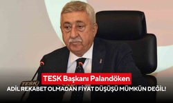 TESK Başkanı Palandöken: Esnafın güçlü olabilmesi için rekabet şartlarının sağlanması gerekiyor