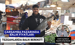 Pazarda Balık Fiyatları 22 Ocak Çarşamba |Salihli’de balık bereketi