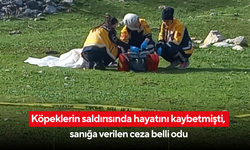 Köpeklerin saldırısında hayatını kaybetmişti, sanığa verilen ceza belli odu