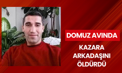 Domuz avında kazara arkadaşını öldürdü