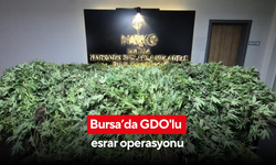 Bursa’da GDO'lu esrar operasyonu