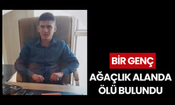 27 yaşındaki genç ağaçlık alanda ölü bulundu