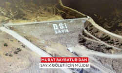 Murat Baybatur’dan  Sayık Göleti için müjde!