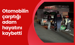 Otomobilin çarptığı adam hayatını kaybetti