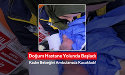 Doğum Hastane Yolunda Başladı, Kadın Bebeğini Ambulansda Kucakladı!