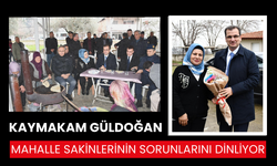 Salihli Kaymakamı Güldoğan, 2 mahallede talepleri dinledi