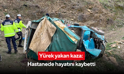 Zeytin toplamaya gidiyorlardı: Hastanede hayatını kaybetti