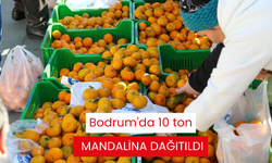 Bodrum'da 10 ton mandalina dağıtıldı