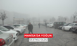 Manisa'da yoğun sis etkili oldu