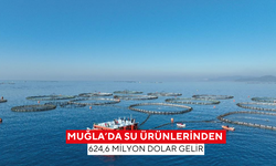 Muğla’da su ürünlerinden 624,6 milyon dolar gelir