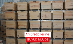 Arı üreticilerine büyük müjde