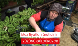 Muz fiyatları üreticinin yüzünü güldürüyor