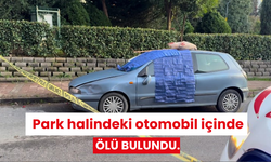 Park halindeki otomobil içinde ölü bulundu.