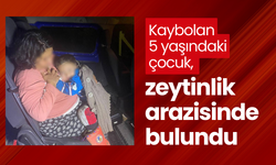 Kaybolan 5 yaşındaki çocuk, zeytinlik arazisinde bulundu